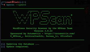 Content image for WPScan: Panduan Keamanan untuk WordPress Anda